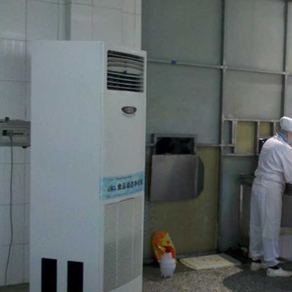 廊坊食品正负离子空气杀菌器